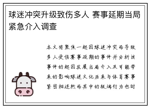球迷冲突升级致伤多人 赛事延期当局紧急介入调查